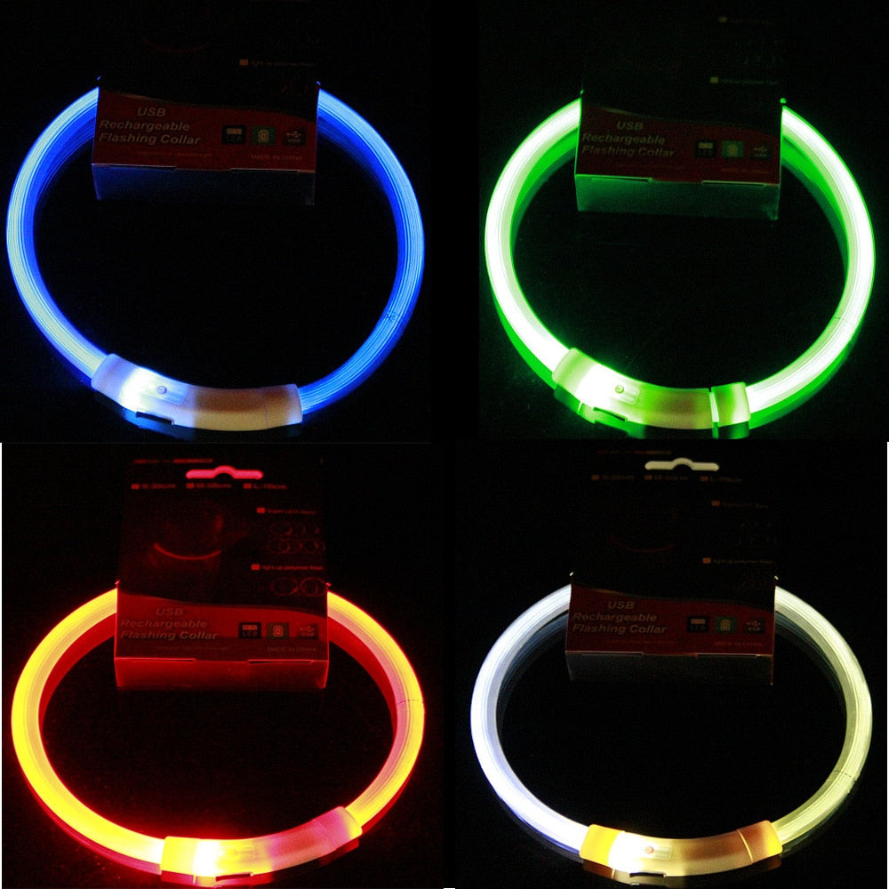 Luminous Anti Lost USB Charging Collar