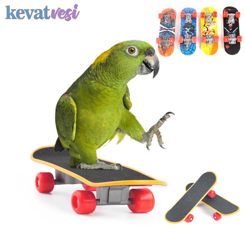 Funny Mini Skateboard for Training