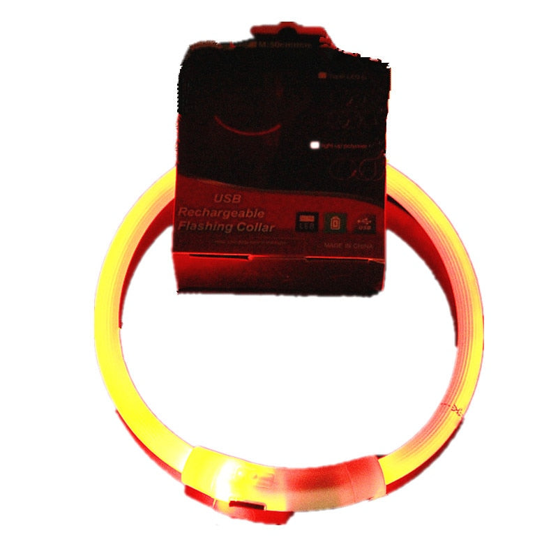 Luminous Anti Lost USB Charging Collar