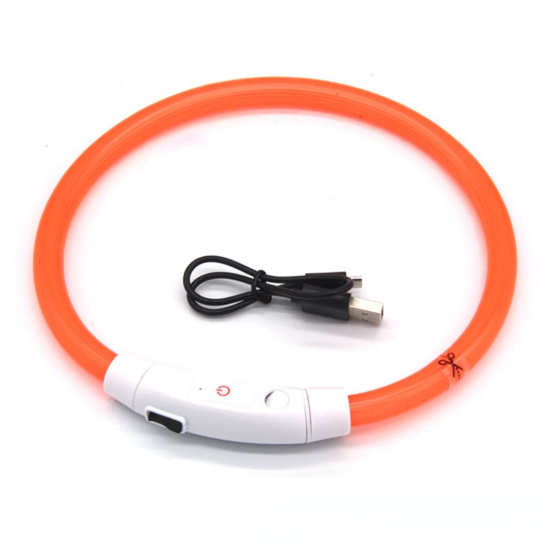 Luminous Anti Lost USB Charging Collar